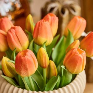 Orange Tulipaner, Bundt/5 stk. 32 cm
